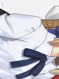 Fate/stay night Premium FanBook