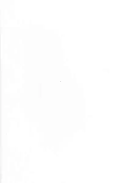 Ryousai Oneshota Tamamo-chan