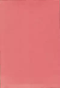 [D'ERLANGER (Yamazaki Show)] Enrei Mai Body (The King of Fighters)