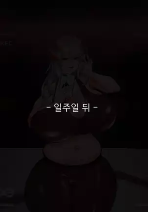 암컷타락 사리아