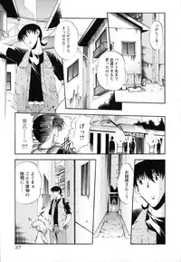 [Noraneko Nagaya] Horoama Omocha Hako