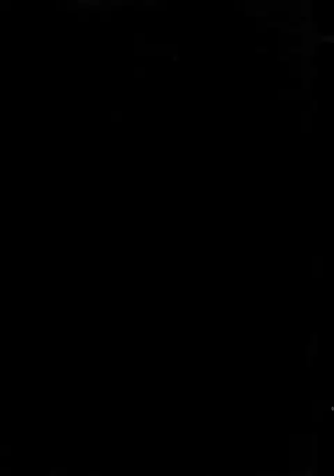 Gainen Reisou wa Kin'iro no Yume o Miru 4