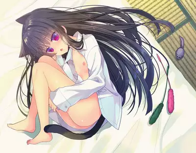 Oyasumi Neko Ecchi - Sleeping x Cat x Ecchi