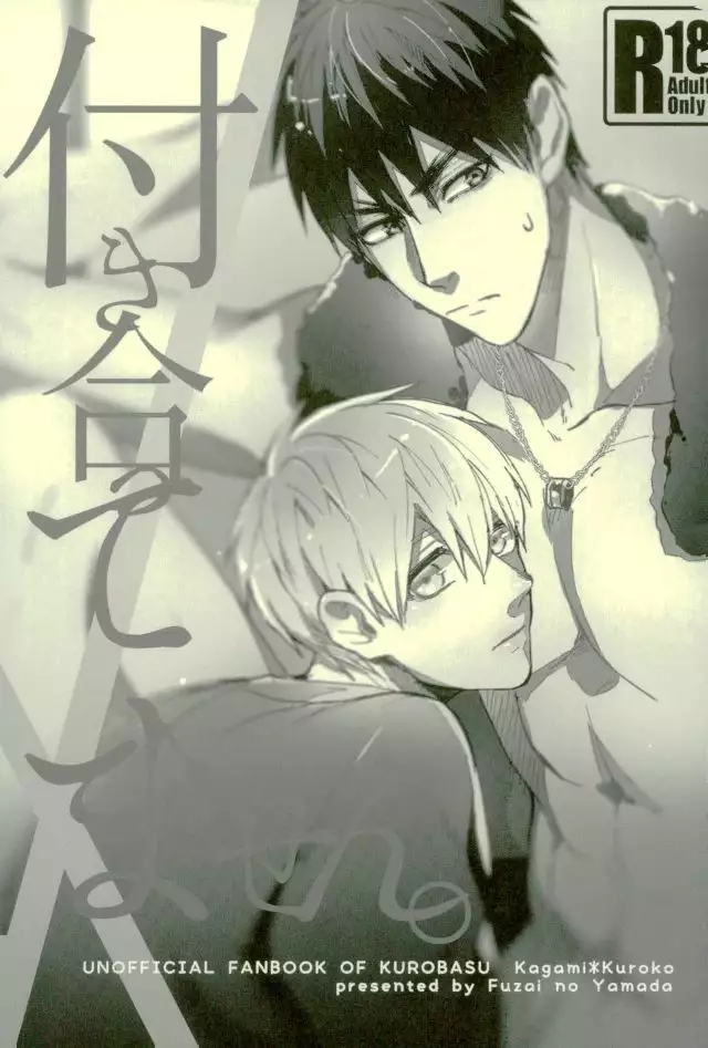 Fuzai no Yamada Sairokushuu Ni