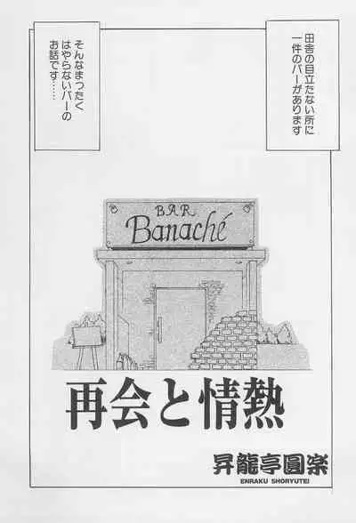 (SC19) [Shoryutei (Shoryutei Enraku)] Re: Shoryutei Light 2