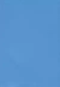 [Nishiki Yoshimune] SOLITAIRE