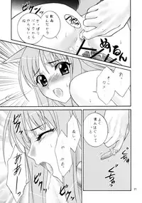 (COMIC1☆2) [Almond Republic (Aimirucha)] Ookami no Full Course (Spice and Wolf)