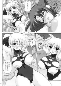 (COMIC1☆5) [Nejimaki Kougen (Kirisawa Tokito)] Capture Girl F (Mahou Shoujo Lyrical Nanoha)