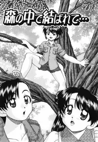 [Chunrouzan] Waisetsu Ehon