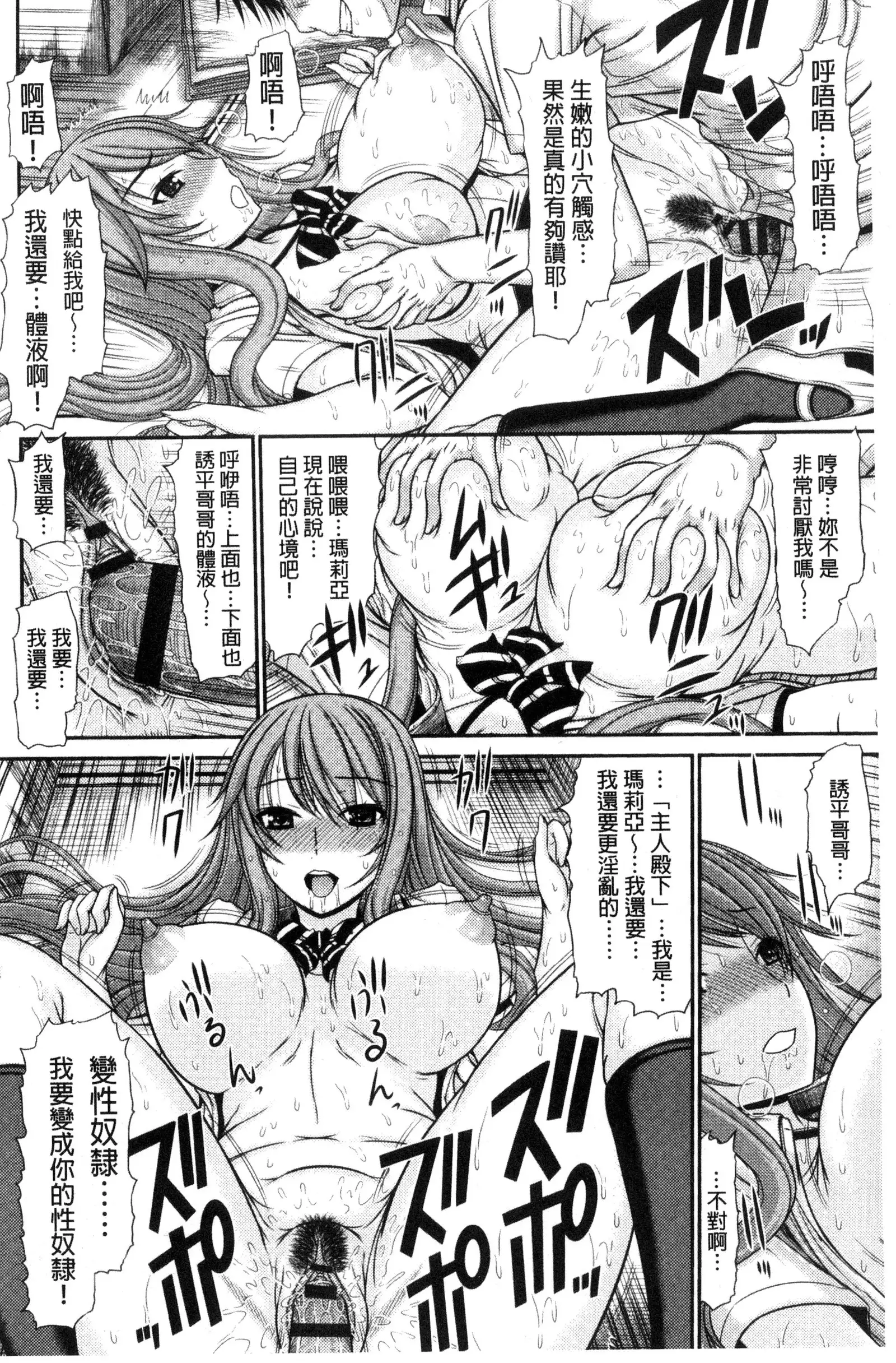 Shimai Seikou Inshuu