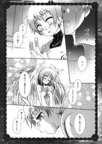 (C74) [Luciferhood (Uchoten)] Who Killed Cock Robin? (Gundam 00)