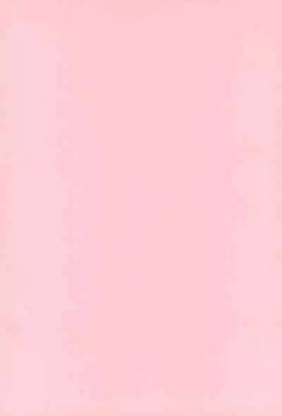 Mahou Shoujo wa Sainan nano Vol. 8