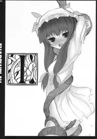 (C77) [Inst (Interstellar)] SHADOWPLAY (Touhou Project) [English] [desudesu]