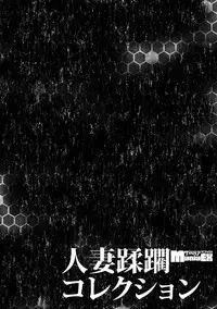 [Anthology] Cyberia Maniacs Hitozuma Juurin Collection Vol.1 [Digital]