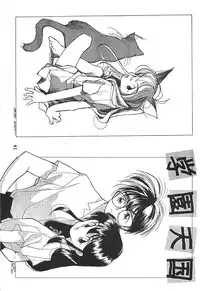 (C50) [PEACE MAKER (E=MC2)] JUNKY'S JUNKS (Various)