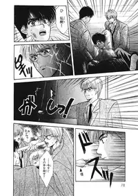 [Hoshizaki Ryuu] Junan Na Hibi