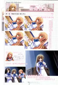 Otome wa boku ni koi shiteru Visual Fanbook (Otoboku)