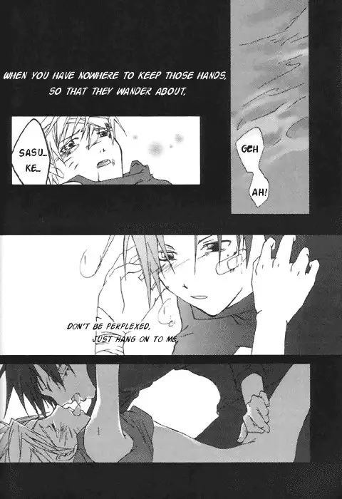 Gold Feather Silver Body