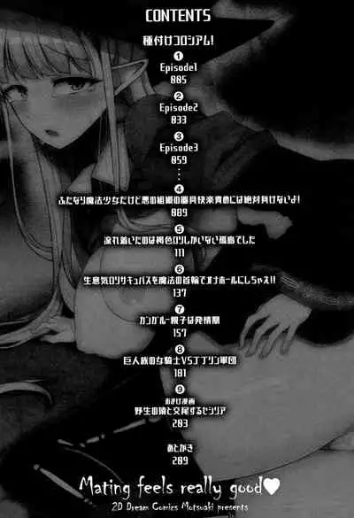 Koubi wa Mechakucha Kimochi Ii - Mating feels really good