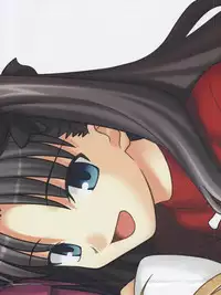 Fate/stay night Premium FanBook