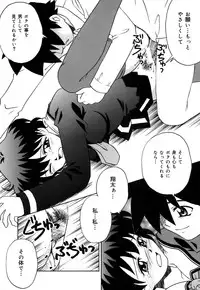 [Donkey] Chocotto Ne