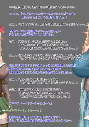 When Did My Elf Companions Become Prostitutes