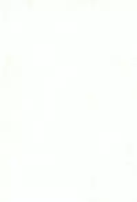 (Keikaku 0x0C) [Apricot Sirup (Hi~mosu)] Wakuwaku Kodomo Hour (Kodomo no Jikan)