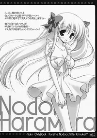 [Rio Grande (Mitsui Mana)] Korette Nodocchitte Yatsukai!? (Saki)