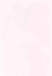 (SC16) [Power Slide (Uttorikun)] Love Cat 2 (Azumanga Daioh, Outlaw Star)