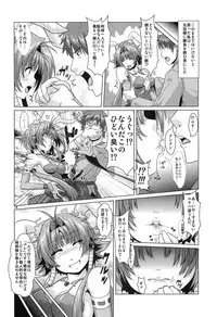 (C86) [Search-Light (Risei)] NTR Haramasare Ubawareta Aibou