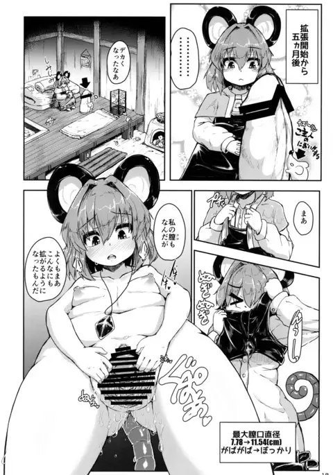 Nazrin ga Goshujin no Tame ni Himitsu no Tokkun o Suru Hanashi