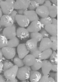 (Reitaisai 5) [54burger (Marugoshi)] COSMIC DARE (Touhou Project)