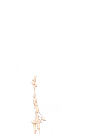 Yuuka-Chirabatta Daiyoukai no Kakera-