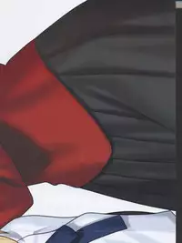 Fate/stay night Premium FanBook