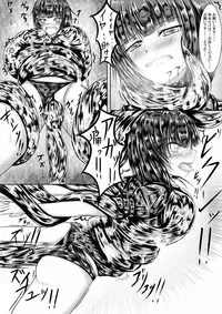 [Hayashi] シャドバスの本 (Shadowverse)