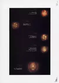 [CARNELIAN] Yami to Boushi to Hon no Tabibito Visual Fanbook