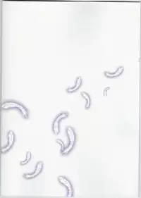 (C89) [Nanguu nara] Taitai no Himitsu-koto (Warship Girls)