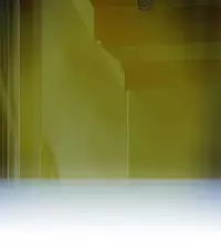 [SOSO] Franken Jo 为爱而生 法兰克赵 Ch.1~26 [Chinese]中文