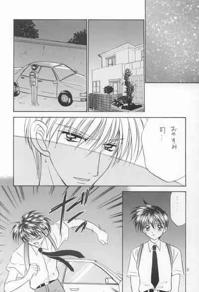 Bishounen Kinbaku Nisshi VIII