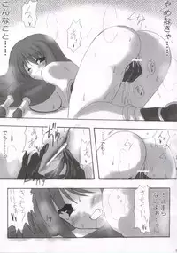 [INFINITY DRIVE (Kyougoku Shin)] Confidential Sister (Ragnarok Online)