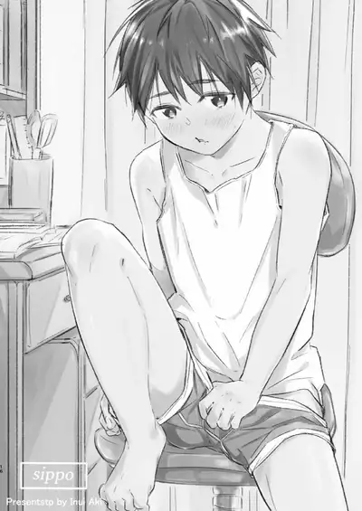 [sippo(Inui Aki)] Wataru-kun Wa XXX Ga Shitai [Digital]