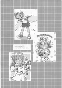 (C73) [Hikou Kaizoku (Toto)] YUKI-USAGI (Otogi-Jushi Akazukin)