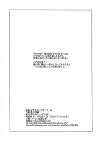 (C84) [ROUND-HOUSE (Kitsukawa Ryounei)] MAGNETIC X DREAM (Yume Senshi Wingman)