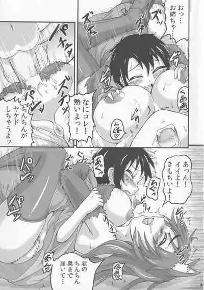 [Fuuun Gennojou (Gennojou)] Kagerou Nights (Touhou Project)