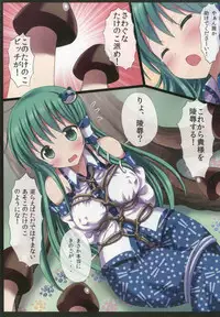 (C92) [Nanmin Festival (Gibuchoko)] Touhou Chireidon ~Touhou Chireiden Shikijousho Soushuuhen~ (Touhou Project)