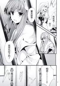 (C87) [Water Drop (MA-SA)] Satanic Carnival 2 (Touhou Project) [Chinese] [CE家族社]