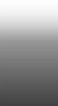 姐妹丼饭 Sister rice Chinese Rsiky