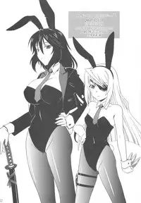 (C81) [CAZA MAYOR (Tsutsumi Akari)] is Incest Strategy 2 (Infinite Stratos)
