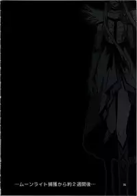 (C79) [Studio Mizuyokan (Higashitotsuka Rai Suta)] MOONLIGHT CRISIS (Heartcatch Precure!)