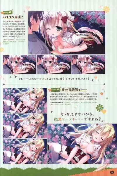 Floral Flowlove Visual Fanbook